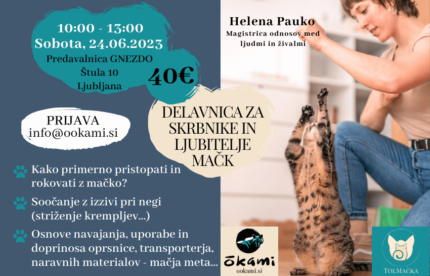 Delavnice OOKAMI 2023