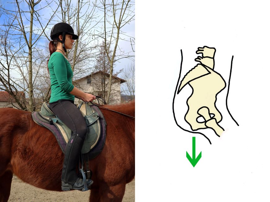 jahačeva medenica - nevtralni položaj